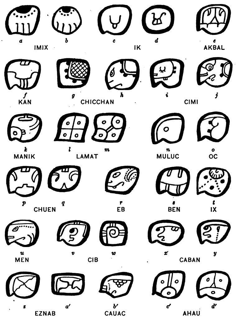 Figure 3: The 20 day signs of the Tzolk’in calendar in the Maya codices  (Morley 1915: 39).